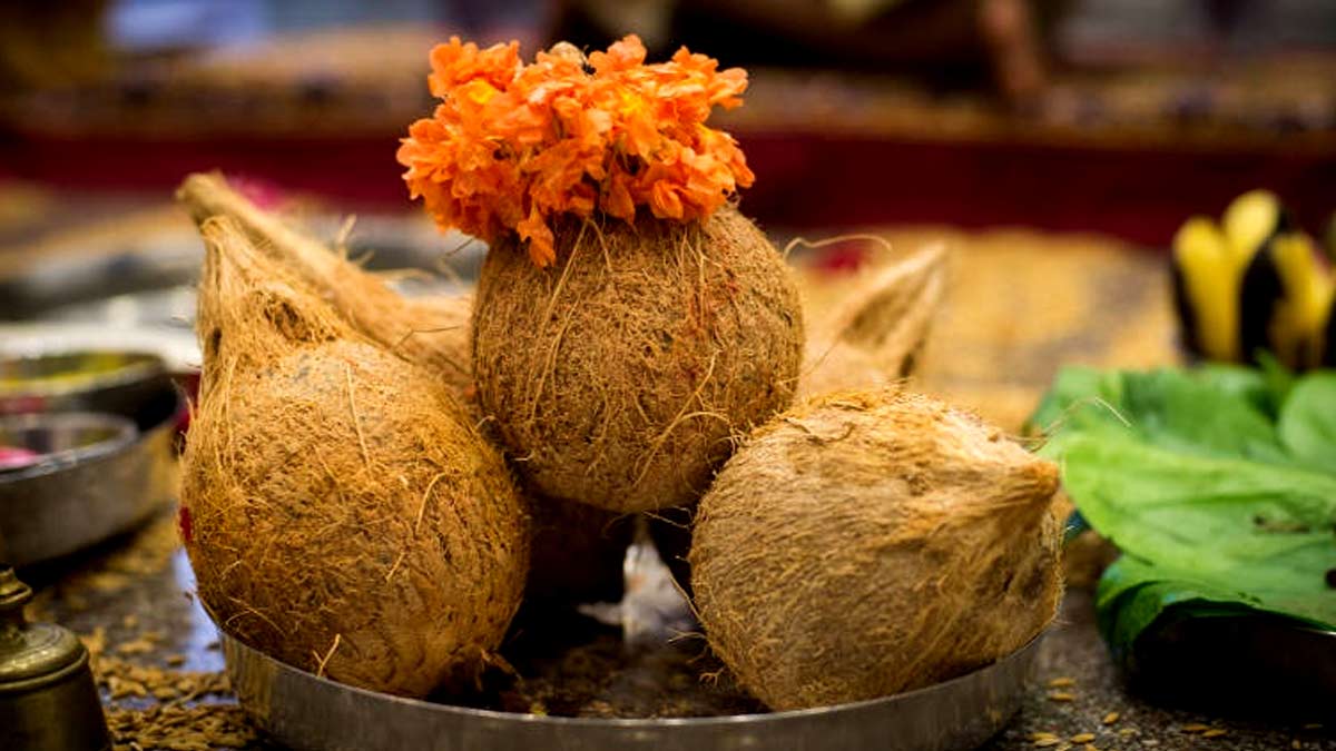 One Eye Coconut| एक आंख वाला नारियल |One Eye Coconut Ka Significance