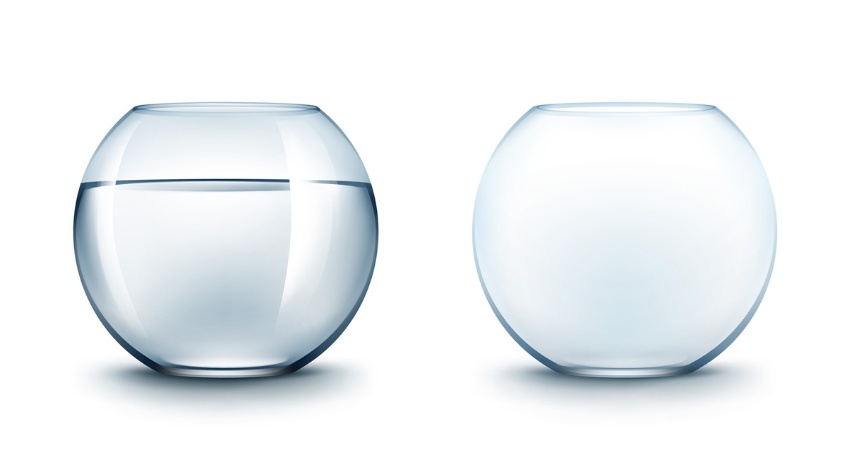 fish bowl for planting