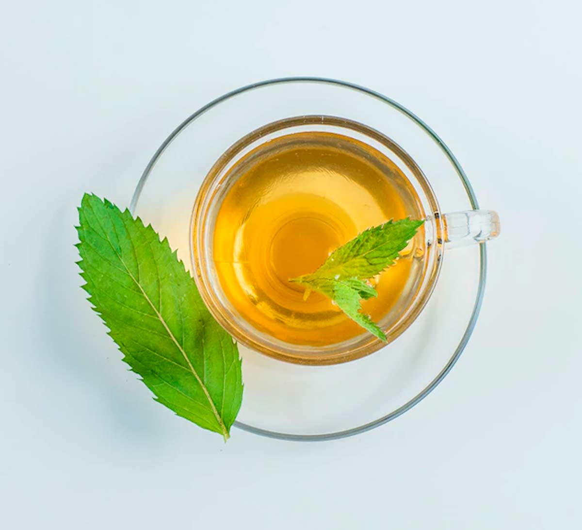 green tea for oily hair