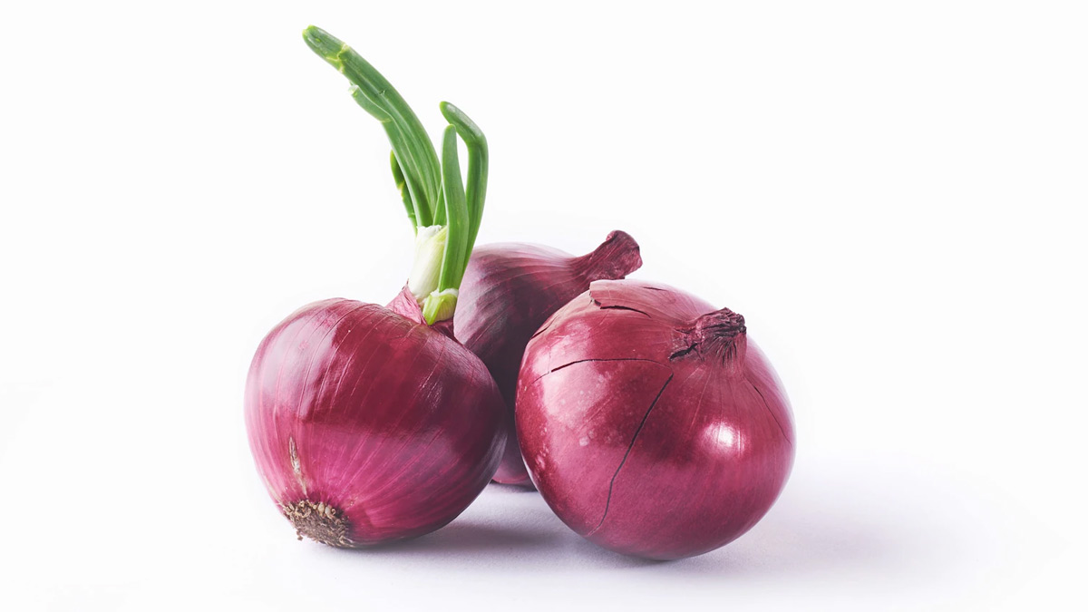 how can i grow salad vegetables at home