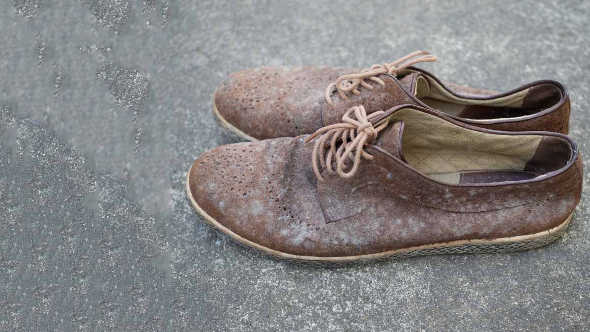 how to remove shoes fungus