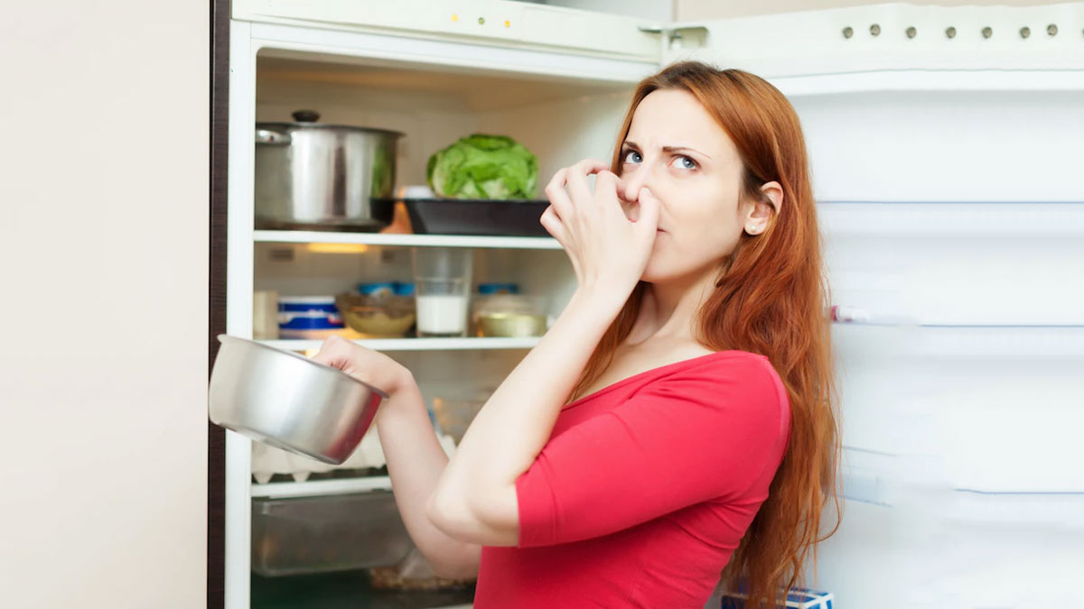 Fridge Smell Fridge Se Badbu Kaise Hataye   How To Remove Smell From Refrigerator 