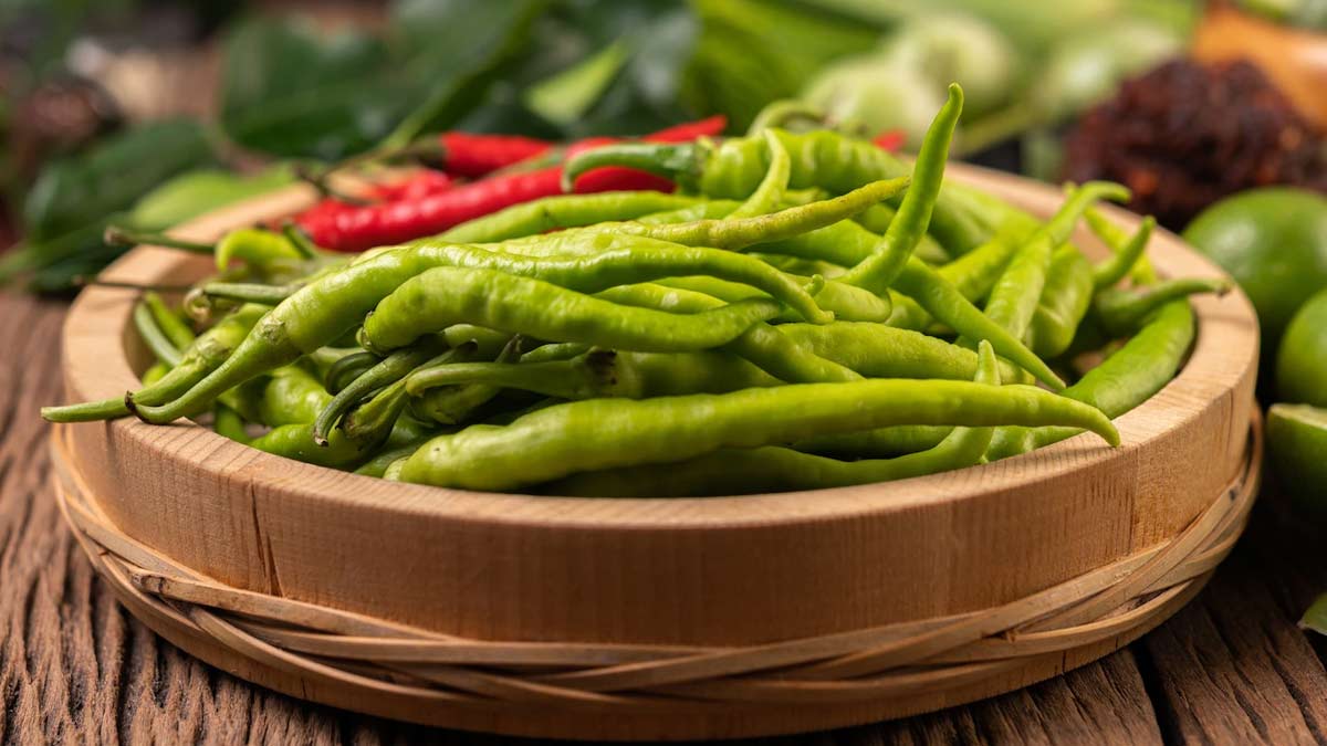 interesting facts about mirchi in hindi