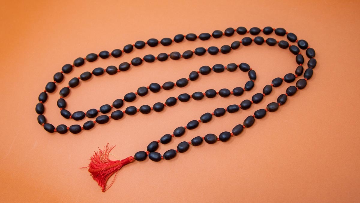 Lotus Seedsकमलगट्टे की माला कैसी होती है Lotus Seeds Mala benefits
