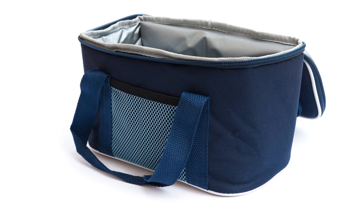 Cleaning Tipsलंच बैग की सफाईBag Saaf Karne Ki Tips how to clean office lunch bag HerZindagi