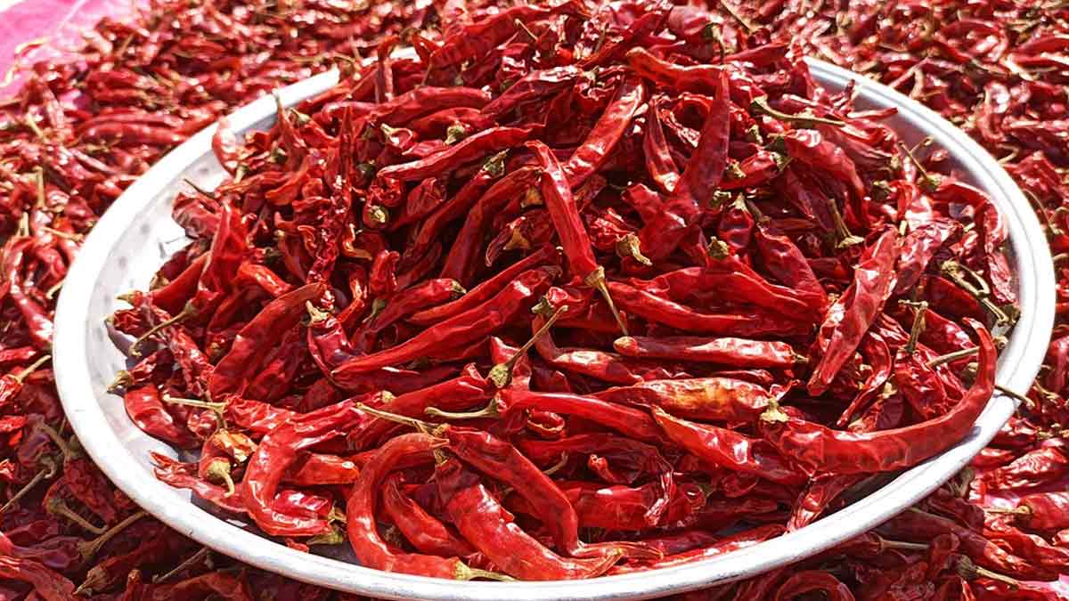 najar utaarne ke upay