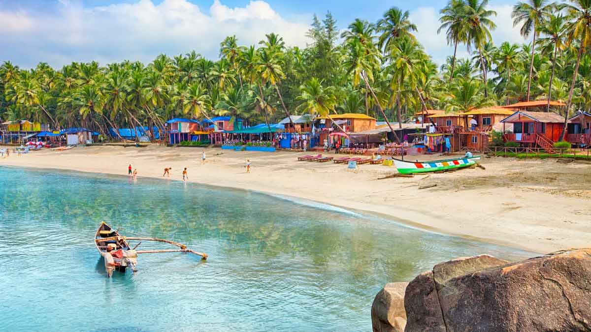 new year tour package