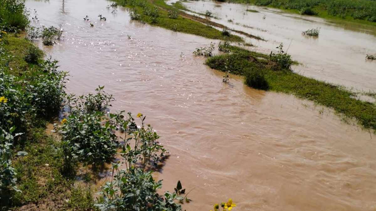 origin and history banganga river
