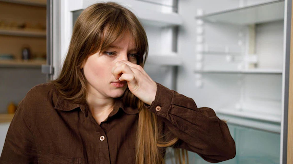 reasons for bad smell in fridge