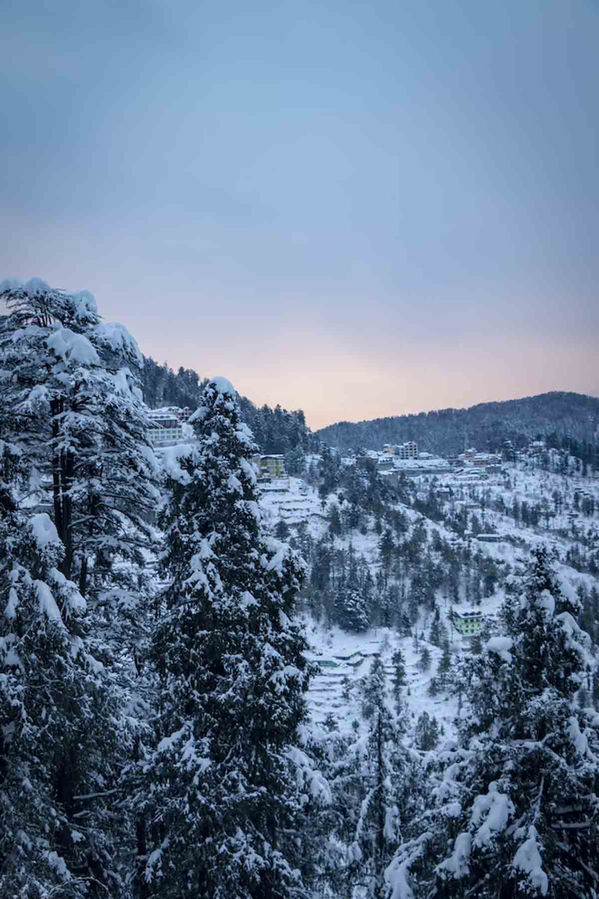 shimla christmas 