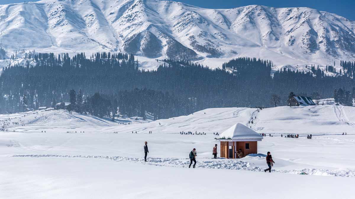 Bhaderwah Sarthal Jammu & Kashmir | Tree wallpaper, Hd wallpaper, Mountain  landscape