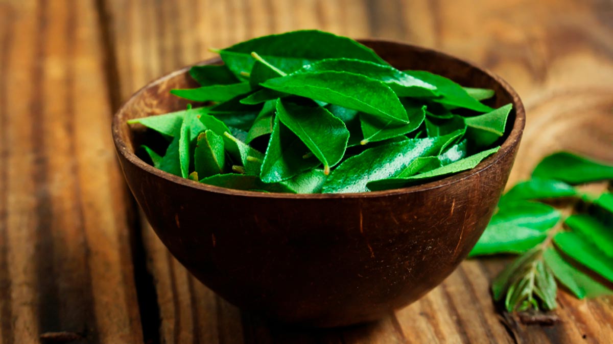 substitute of curry leaves