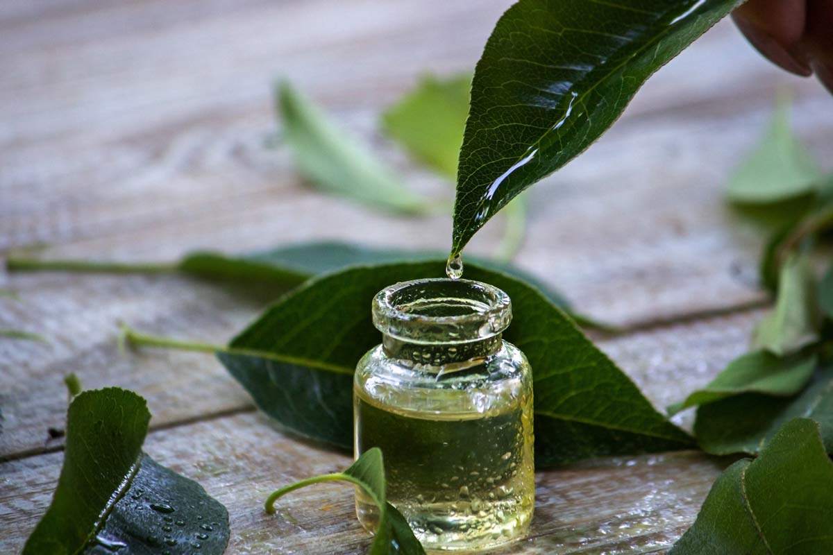 tea tree oil for cracked heel
