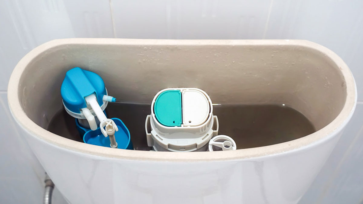 how-to-clean-toilet-tank-toilet-saaf-karne