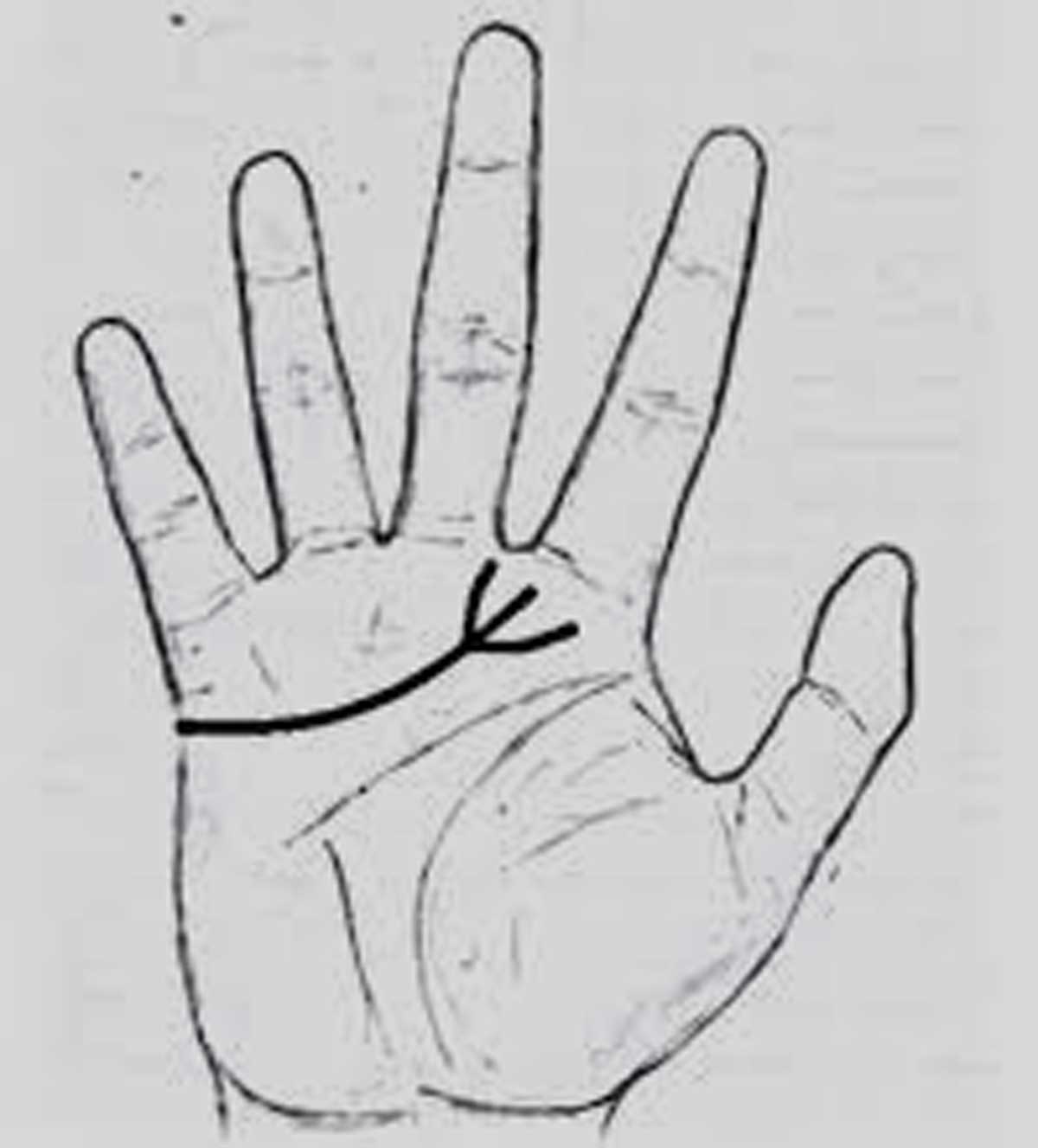 trishul on hand indicate these things