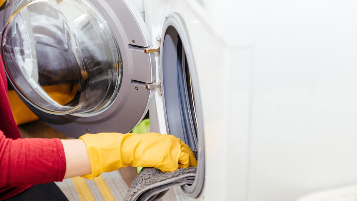 How To Clean Mold From Washing Machine वाशिंग मशीन कैसे साफ करें