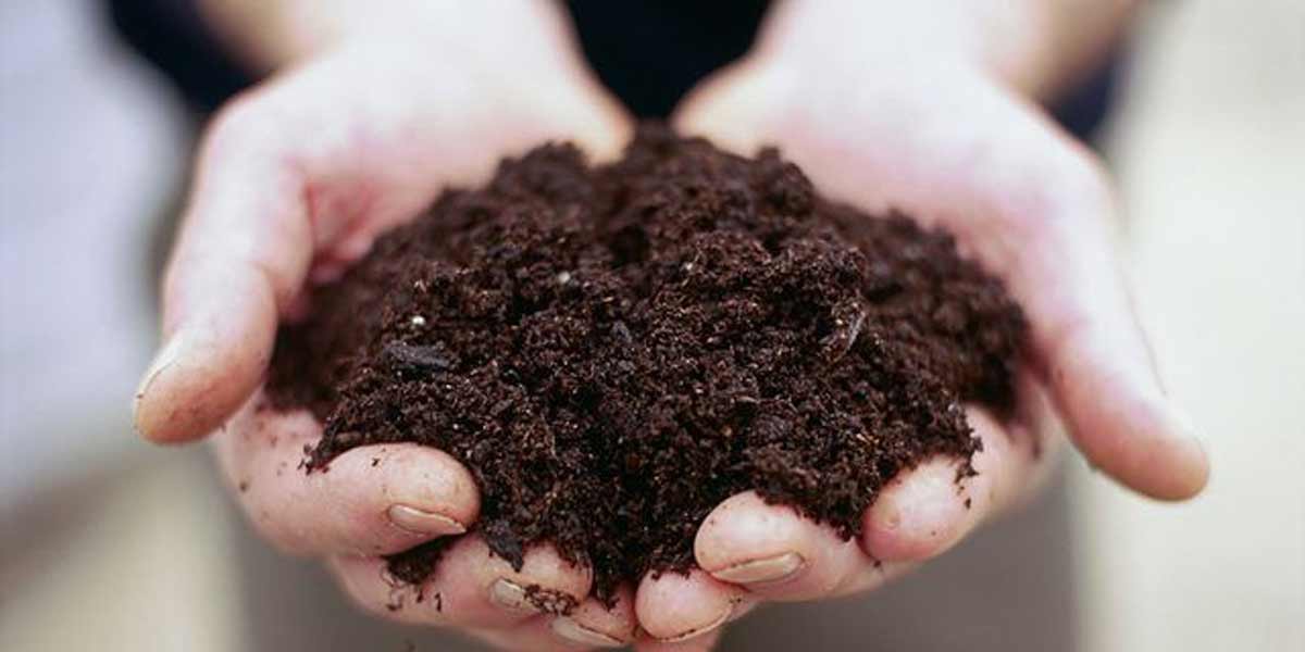 which soil is best for terrace garden