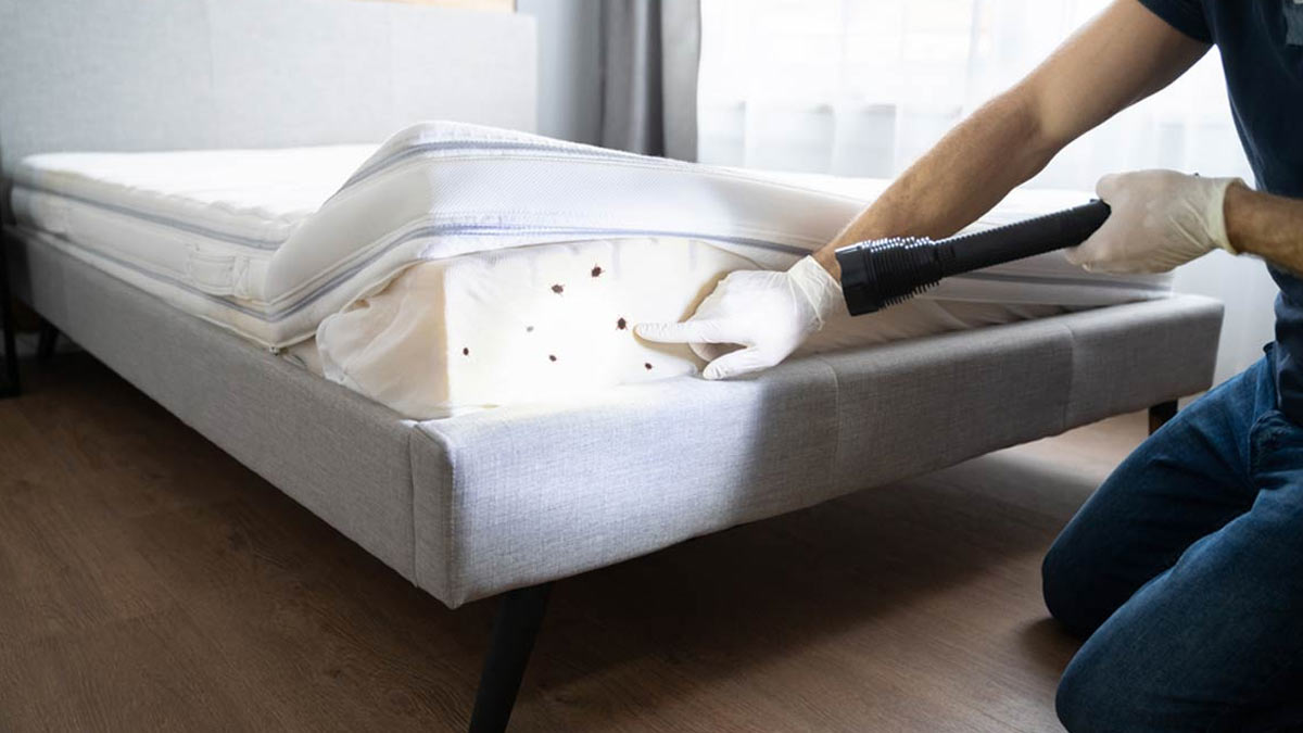 बेड को अंदर से कैसे साफ करें। How to Clean Bed। Bed Ko Kaise Saaf Kare