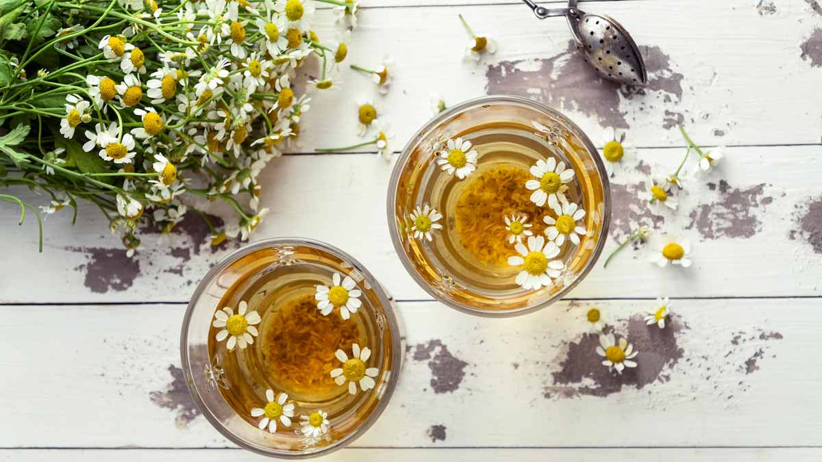 Chamomile for anxiety