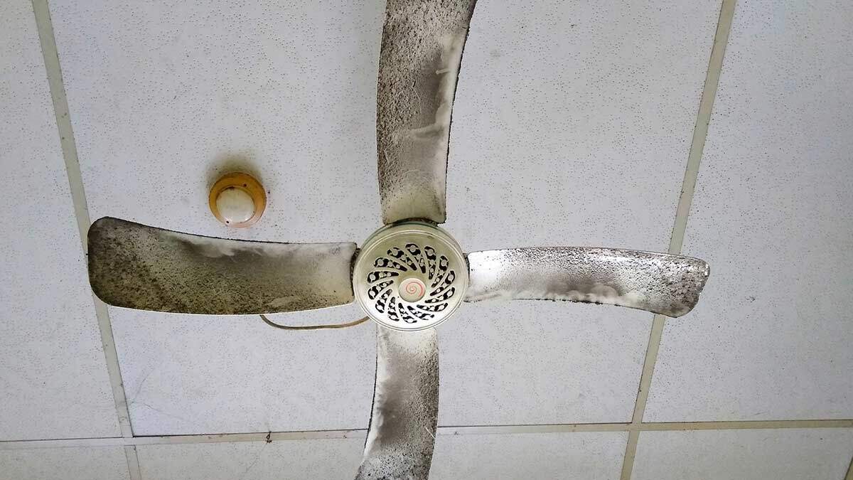 Diwali Cleaning cieling fan