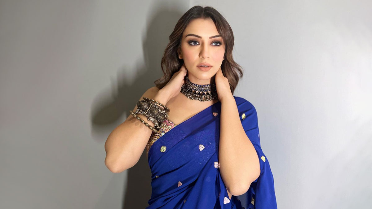 Hansika Motwani Wedding Update| हंसिका मोटवानी शादी किससे करने वाली है ...