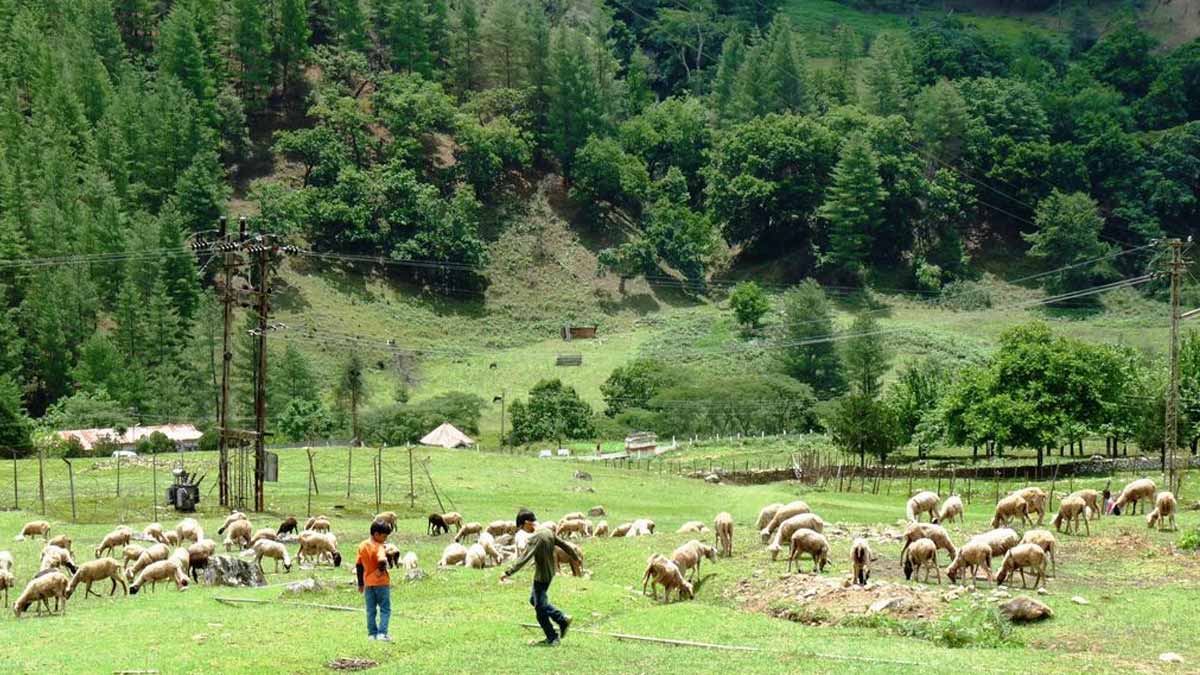 Places To Visit In Dirang