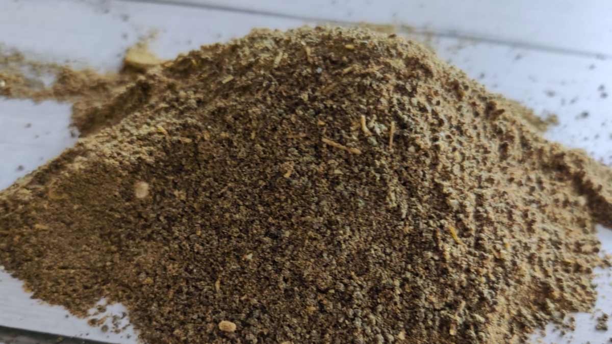 best organic fertilizer for indoor plants