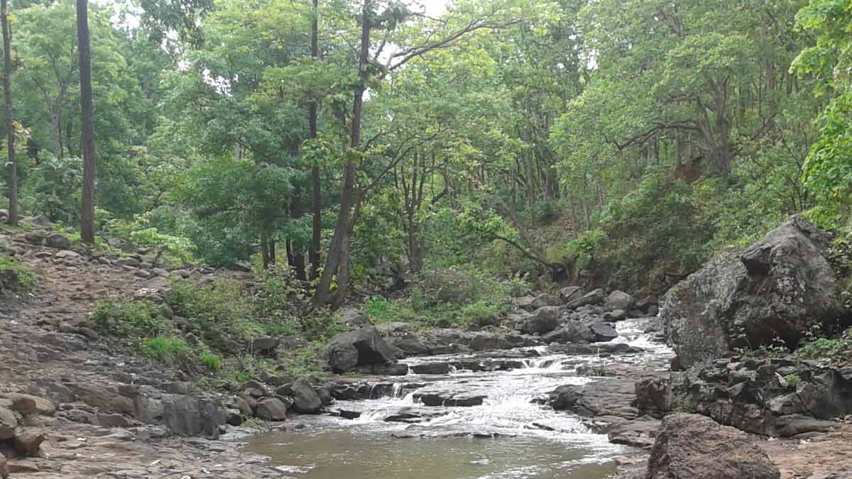 best places to visit in anuppur in hindi