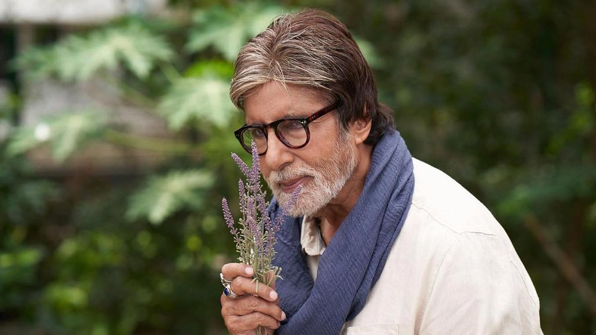 Amitabh Bachchan Birthday: From Silsila To Pink, 5 Iconic Roles Of Big ...