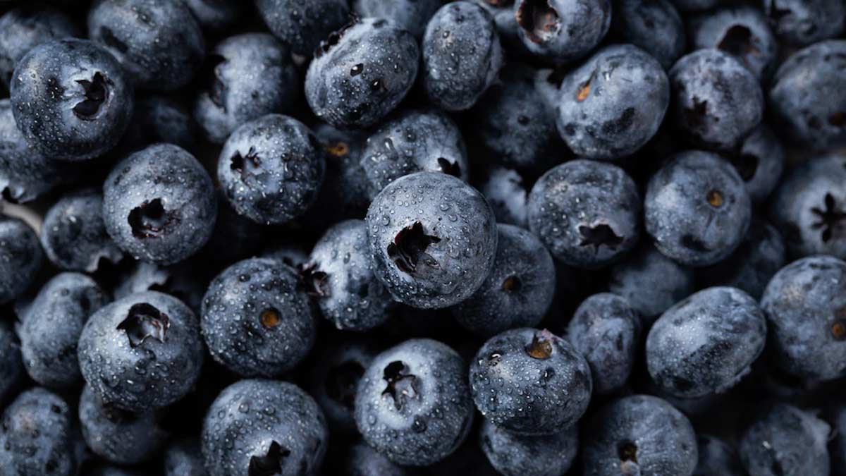 blueberries benefits for anxiety