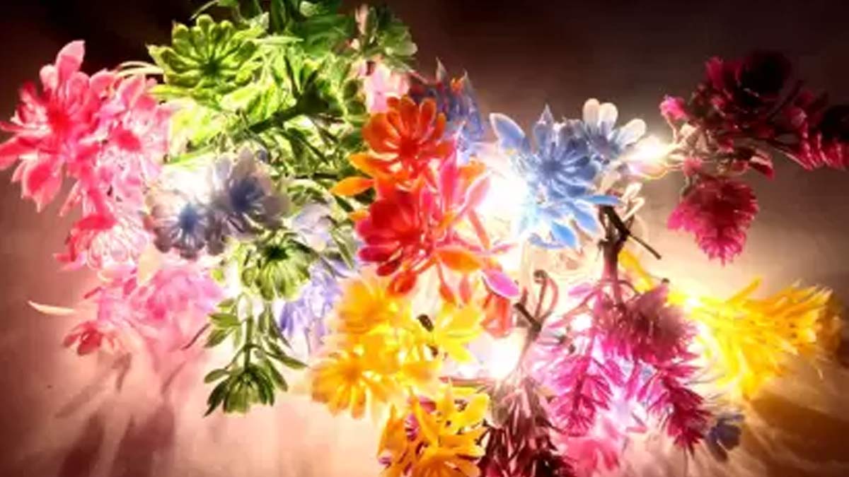 colourful lights under  rupees