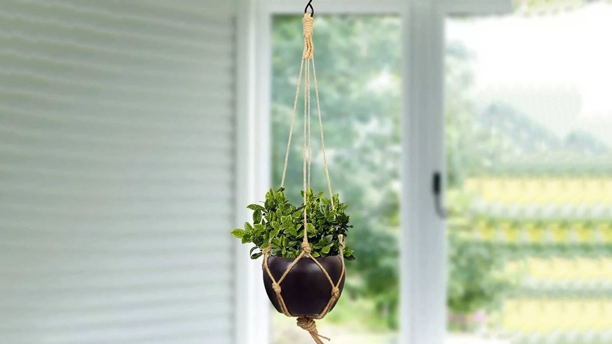 decorate home with coconut shell