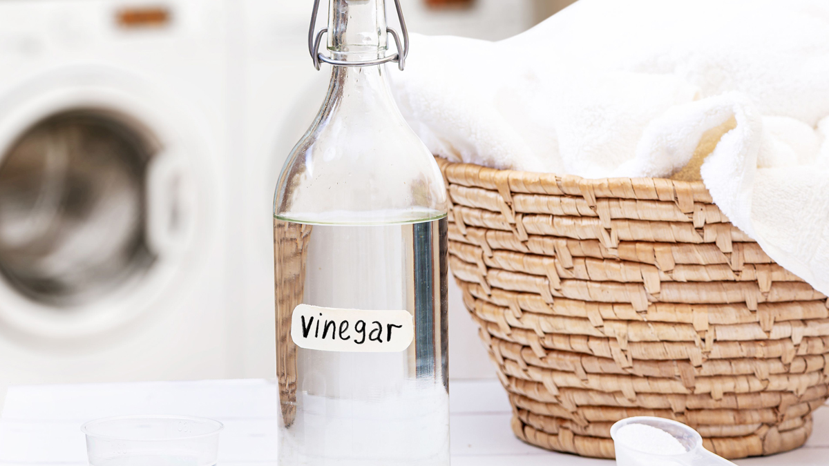 How To Clean Mosquito Netमच्छरदानी की सफाई कैसे करें Machardani Ki