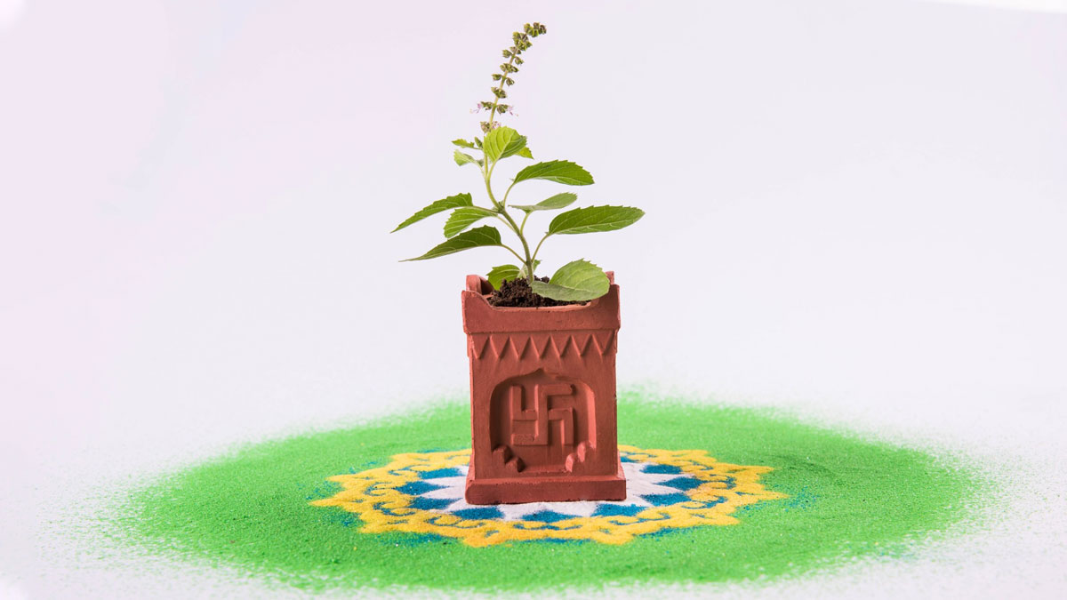 festival calendar november  date shubh muhurat