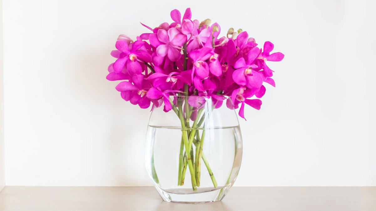 flower pot decoration tips