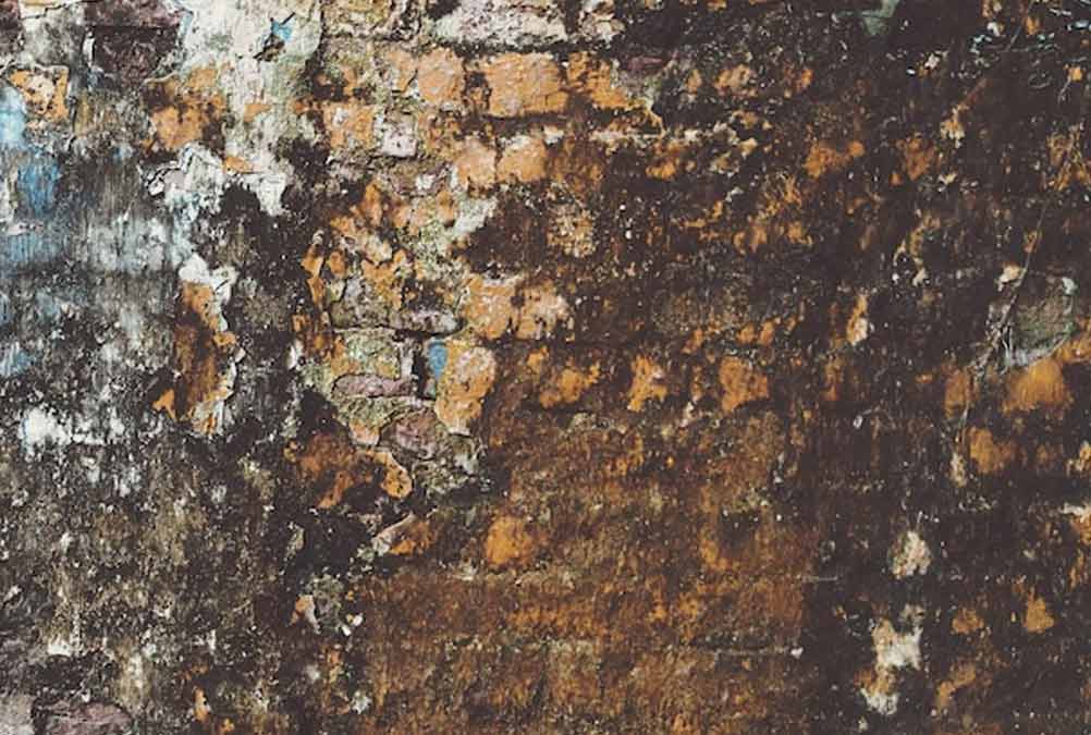 how to clean mold easy