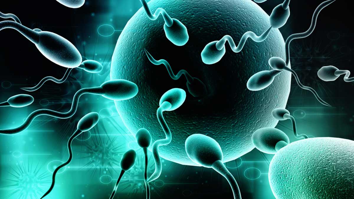 Sperm Count बढ़ाने के उपाय: डॉक्टर से जानिए किन चीजों के सेवन से बढ़ेगा स्पर्म काउंट 8 How To Increase Sperm Count With Yoga