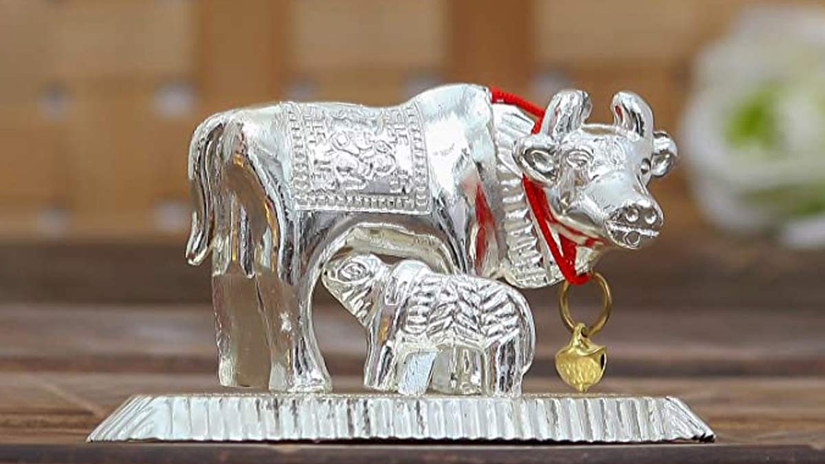 keep the idol in right direction