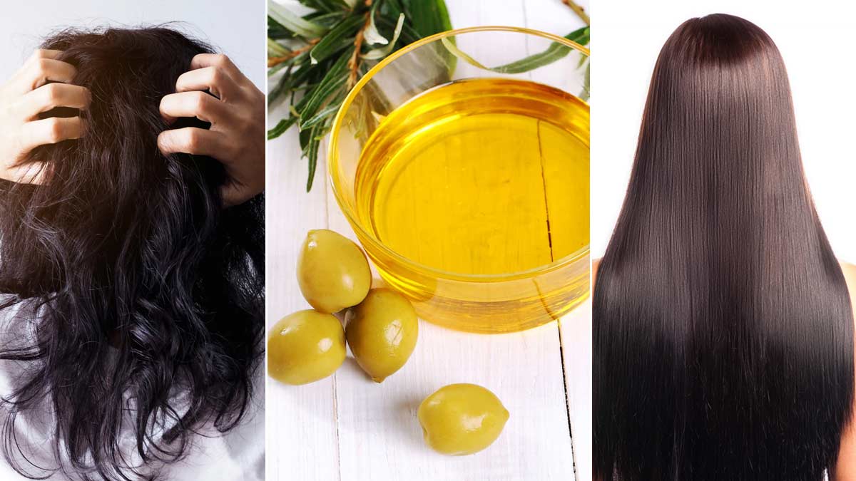 These Home Remedies Will Give Life To Dry And Lifeless Hair You Should Also  Try  रख और बजन बल म जन डल दग य घरल उपय आप भ टरई  करक दखए