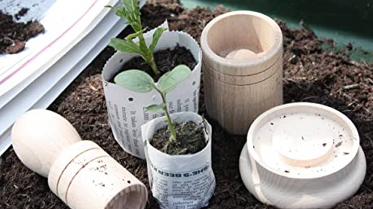 How To Use Newspaper In The Garden Area न्यूजपेपर को गार्डन में