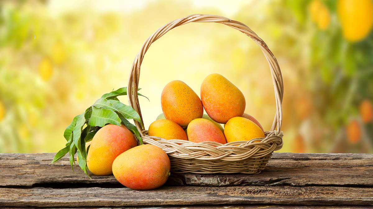 buying-good-quality-mango-in-tamil-mambalam-tips