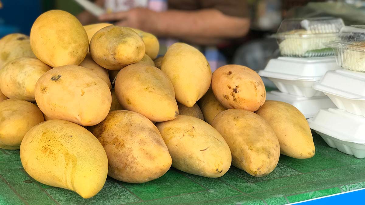 buying-good-quality-mango-in-tamil-mambalam-tips