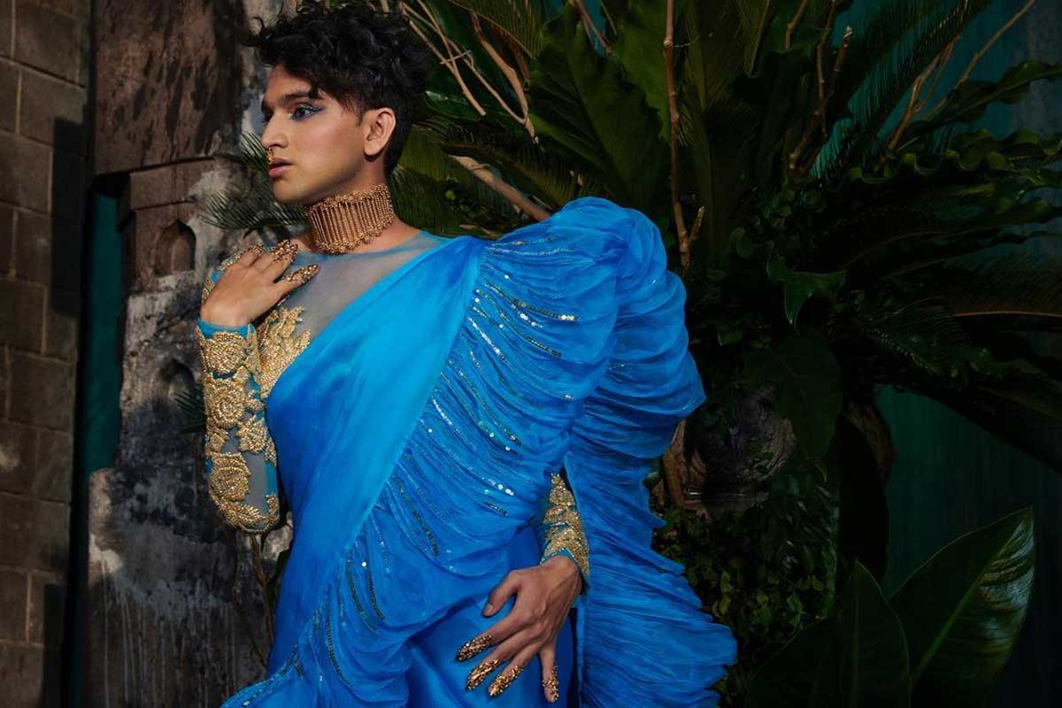 neel ranaut in saree