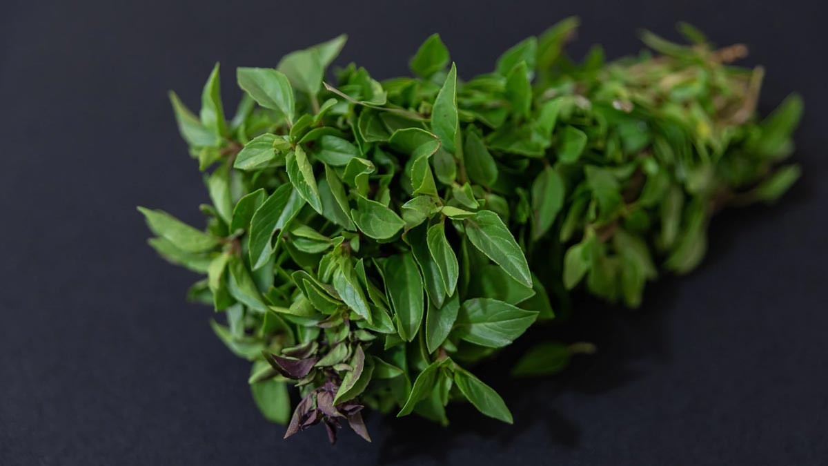 nutrients from fenugreek leaves