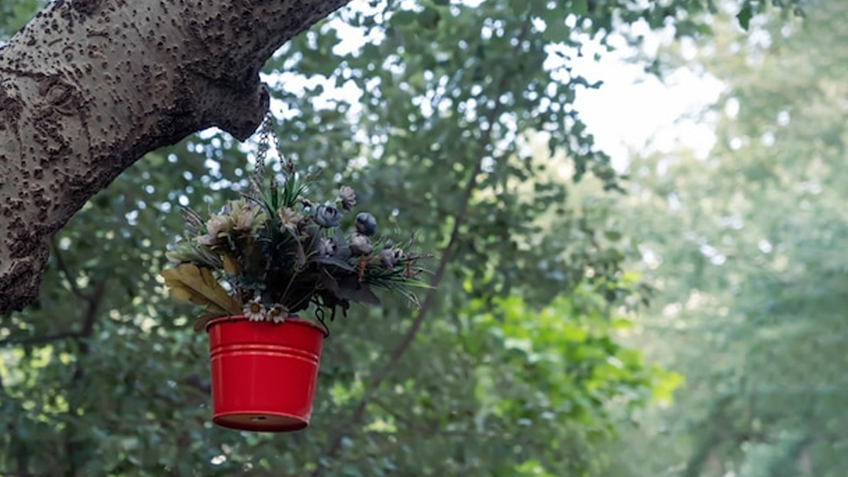 old bucket hanging pots