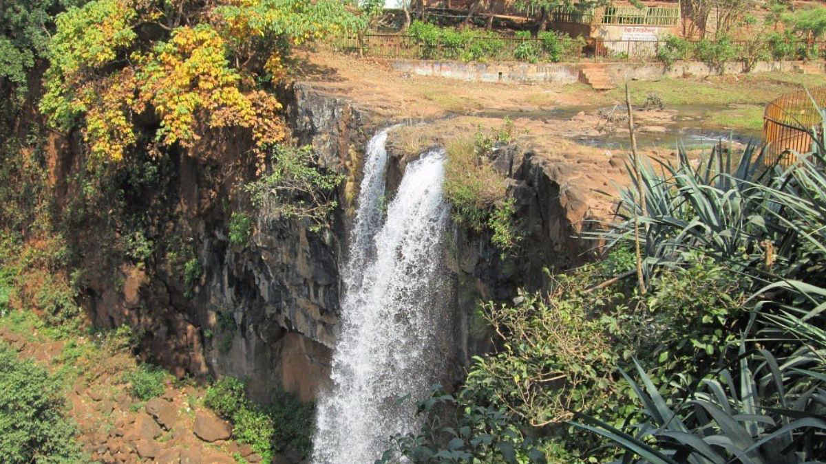 places to visit in anuppur in mp