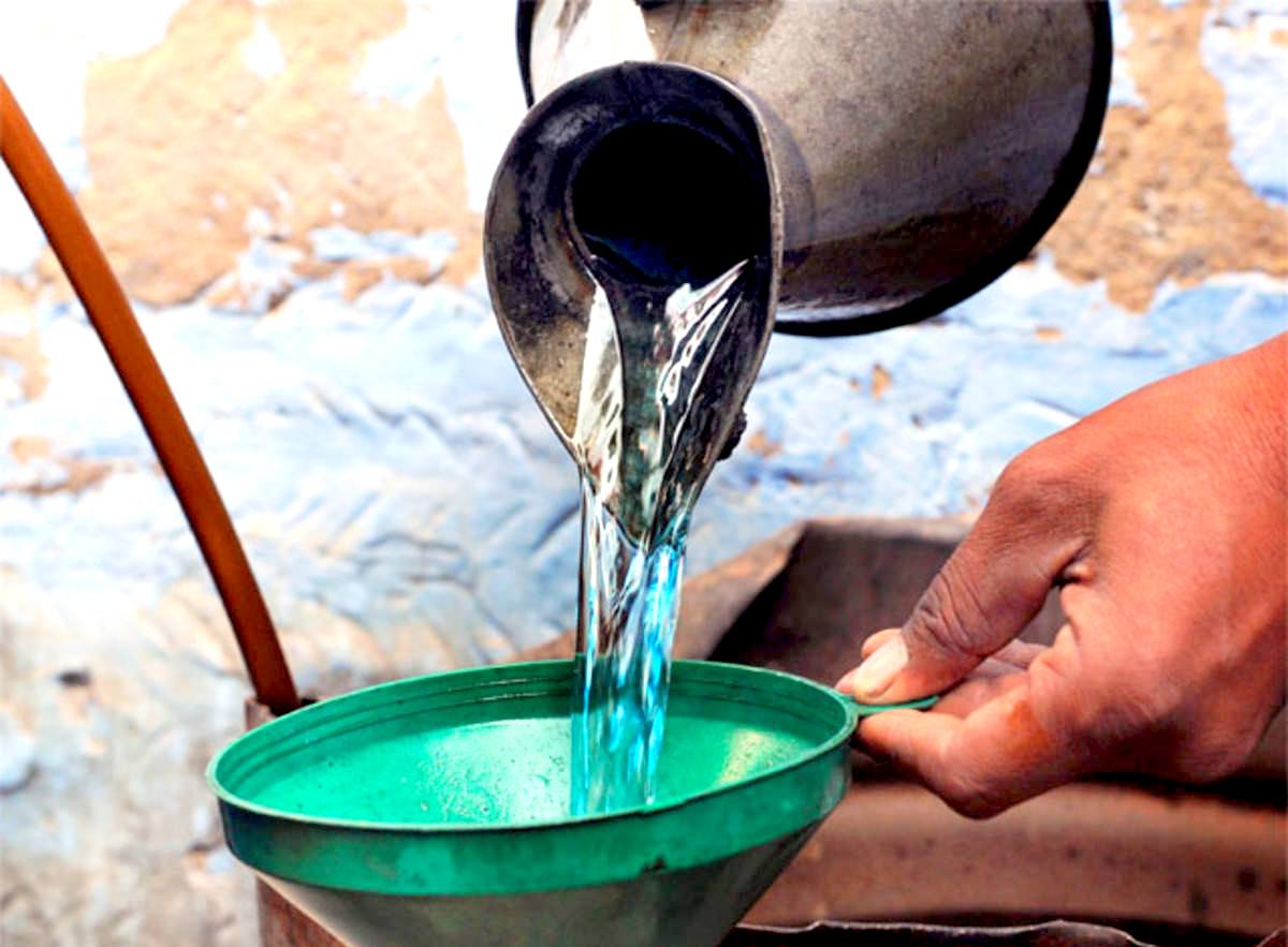 tips to get rid of maggots insect from garden