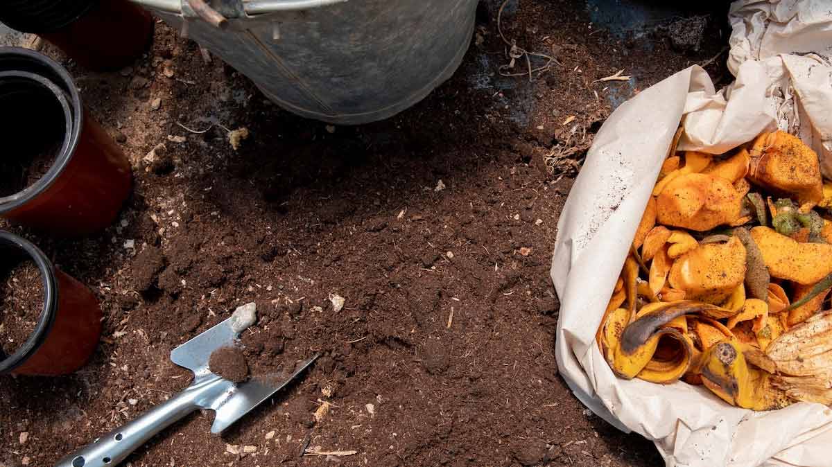 How To Use Newspaper In The Garden Area न्यूजपेपर को गार्डन में