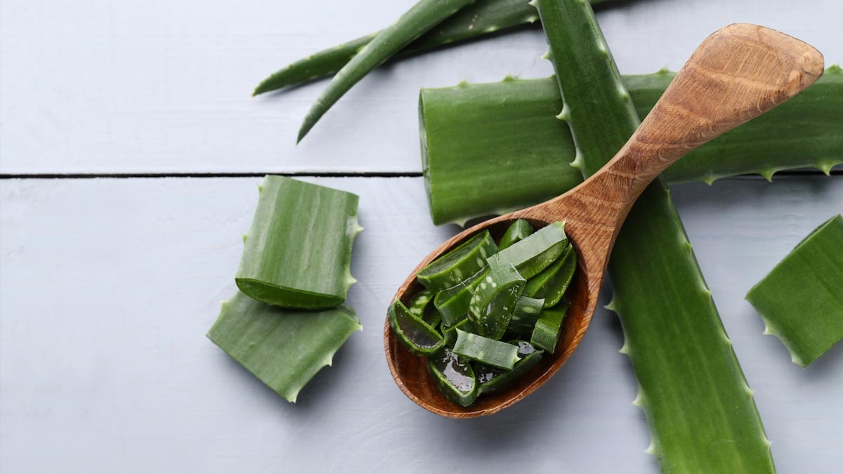 use of aloe vera 