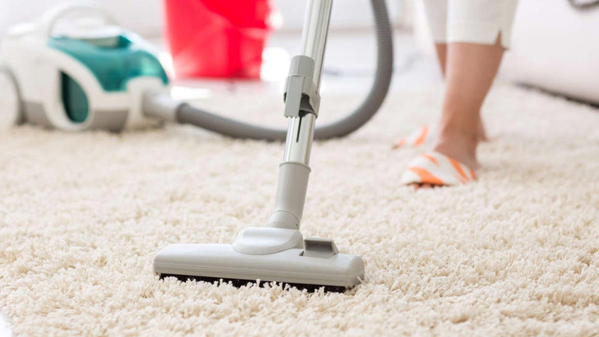 How To Get Bugs Out Of Carpet Carpet how-to-get-bugs-out-of-carpet-carpet